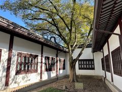 -上海醉白池公园