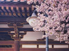 -西安青龙寺遗址景区