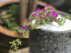 -花迹(富春江东街店)