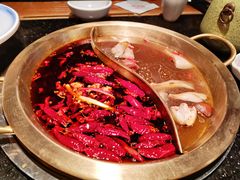 鸳鸯锅-潮火锅·麻辣牛肉火锅(观音桥方圆·LIVE店)