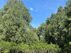 -元大都城垣遗址公园