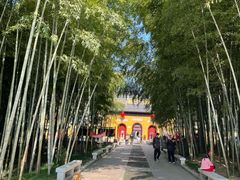 -九龙潭景区