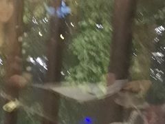 -拉芳舍(印象南塘店)