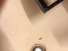 -中铁花水湾温泉酒店(大邑店)