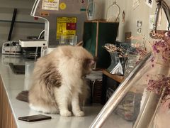 -灯塔咖啡馆BOOK·Coffee Shop