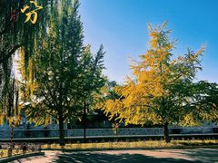 -北京市劳动人民文化宫(太庙)