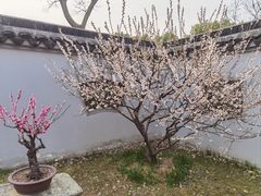 -无锡梅园公园