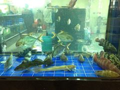 iphone_upload_pic-轩记海鲜餐厅·四十五年老字号·经典粤菜(西区彩虹店)