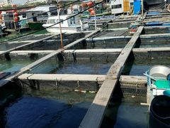 -蓝湾碧波·老字号·疍家非遗海上餐厅