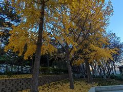 -元大都城垣遗址公园