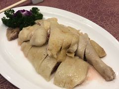 -欢乐海岸美食联盟