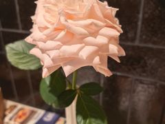 -南棠馆粤菜坊(销品茂店)