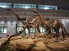 -自贡恐龙博物馆