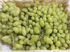 -7fresh七鲜(大族广场店)