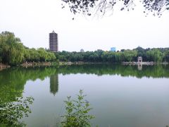 -博雅塔