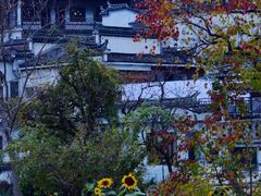 -塔川景区