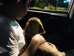 -美联众合动物医院(·中兽医·疑难杂症·严家桥分院)