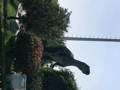 -诸城服务区-停车场