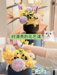 -圣贝拉母婴护理中心(广州瑰丽店)