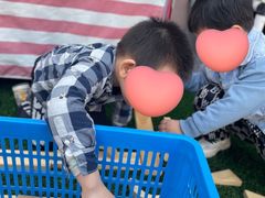 -苏州市姑苏区宝仁幼儿园