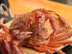-鳥喜Toriki怀石烧鸟料理