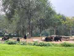 -北京野生动物园