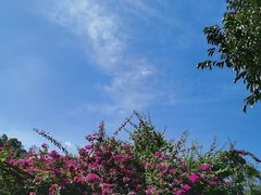 -野象谷景区