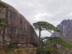 -黄山风景区