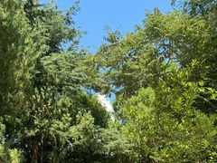 -烟台山景区
