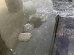 -青青世界