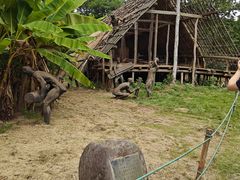 -河姆渡遗址博物馆