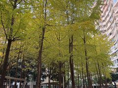 -融汇温泉