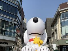 -中粮·祥云小镇