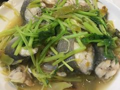 -肥信潮菜(科新路店)
