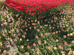 -长春公园(普阳街道)