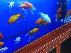 -知足堂养生会所(碑亭巷店)