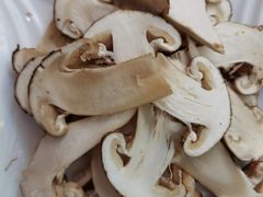 -蘑统田下·野生菌火锅