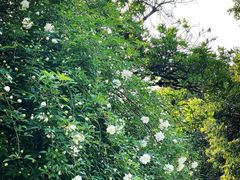 -颐和路民国时期公馆风貌区