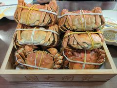 -黄记大闸蟹专卖店·活蟹·醉蟹