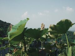 -远山有窑