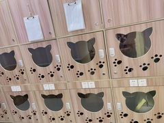 -瑞鹏宠物医院·内科·中兽医·骨科(苗圃店)