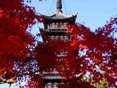 -常熟方塔园