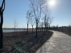 -春花秋色城市公园