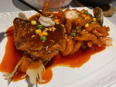 松鼠桂鱼-洋洋中餐馆·SINCE 1997(信投店)