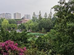 -成都市文化公园