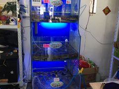 -祥鹤龙虾螃蟹