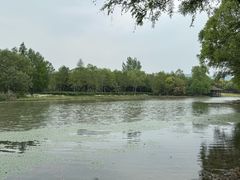 -长广溪湿地公园