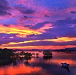 -薇兰专业脱毛连锁机构