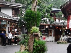 -青城甲(青城山店)