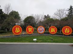 -青枫公园